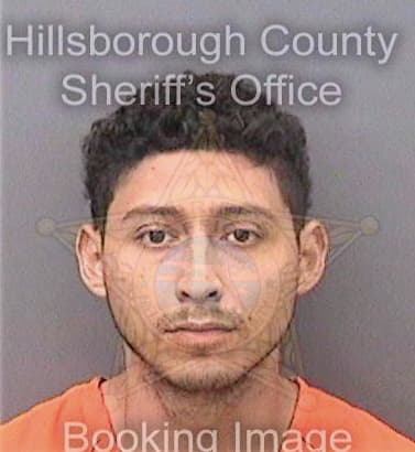 Gomez Danilo - Hillsborough County, FL 