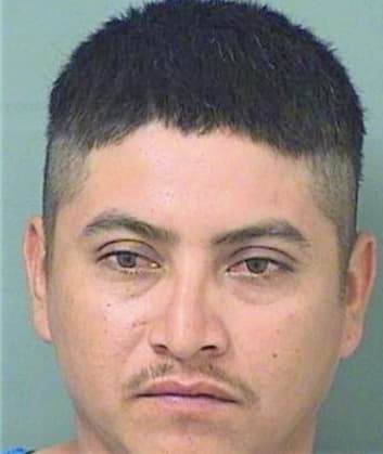 Hernandez Jorge - PalmBeach County, FL 