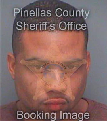 Harrison David - Pinellas County, FL 