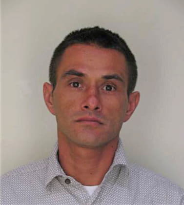 Garcia Mauricio - Hillsborough County, FL 