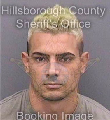 Ramirez-Herrera Serguey - Hillsborough County, FL 