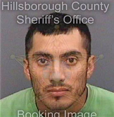 Mendozasalgado Pascual - Hillsborough County, FL 