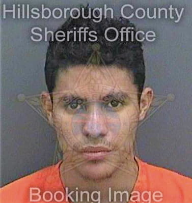 Cisnerosvelasquez Erick - Hillsborough County, FL 