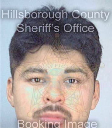 Garcia Juan - Hillsborough County, FL 