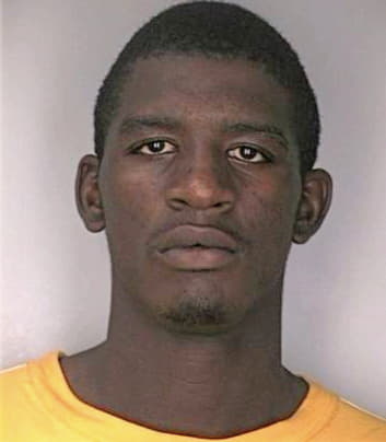 Sirmons Ryan - Hillsborough County, FL 