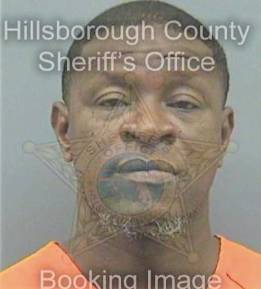 Mcintyre William - Hillsborough County, FL 