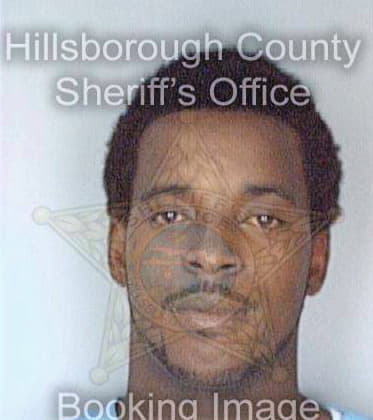 Riggins Demetris - Hillsborough County, FL 