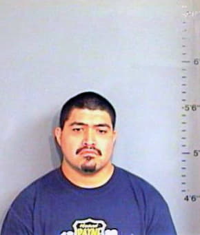 Hernandez Anthony - Brazos County, TX 