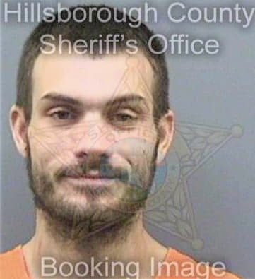 Mcnally Mark - Hillsborough County, FL 