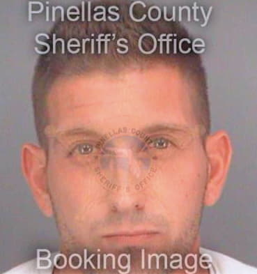 Miceli Gregory - Pinellas County, FL 