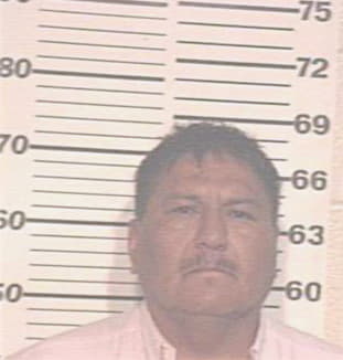 Hernandez Heraclio - Hidalgo County, TX 