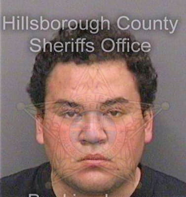 Suarez Cesar - Hillsborough County, FL 