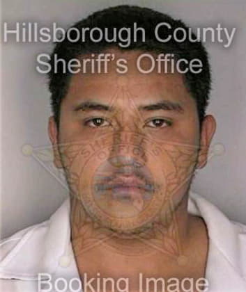 Gama Mayolo - Hillsborough County, FL 