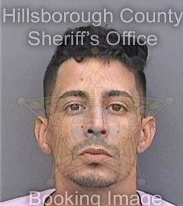 Brito Christopher - Hillsborough County, FL 