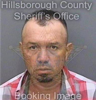 Medinaibarra Miguel - Hillsborough County, FL 