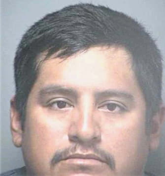 Castro Eliseo - Hillsborough County, FL 