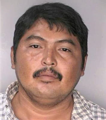 Bonilla Santos - Hillsborough County, FL 