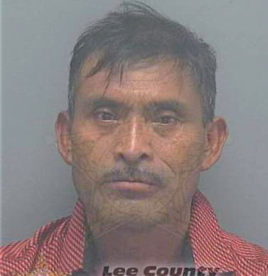 Mejia Cristobal - Lee County, FL 