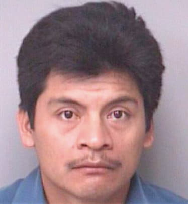 Baltazar Marcel - Pinellas County, FL 