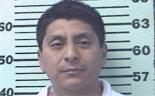 Molina Ansberto - Hopkins County, TX 