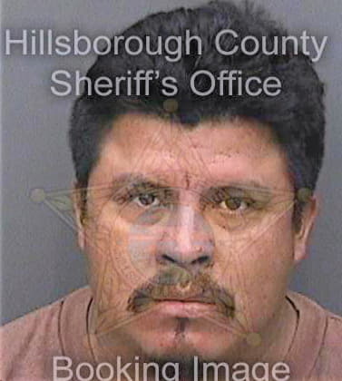 Fernandezlucas Faustino - Hillsborough County, FL 