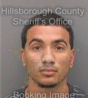 Marte Gabriel - Hillsborough County, FL 