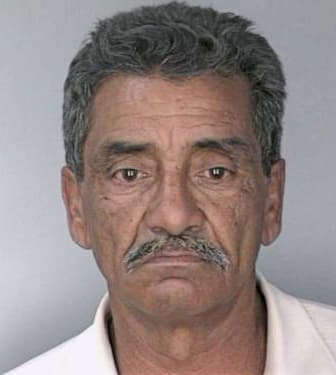 Reyes Ismael - Hillsborough County, FL 