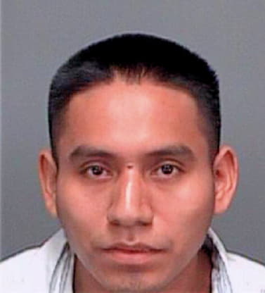 Torres Lucas - Pinellas County, FL 