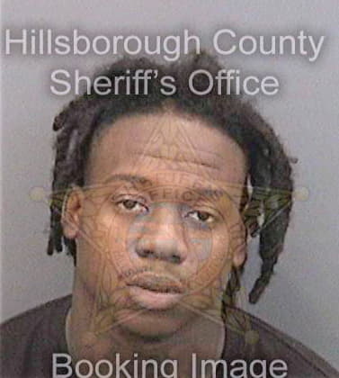 Lee Arttonyo - Hillsborough County, FL 