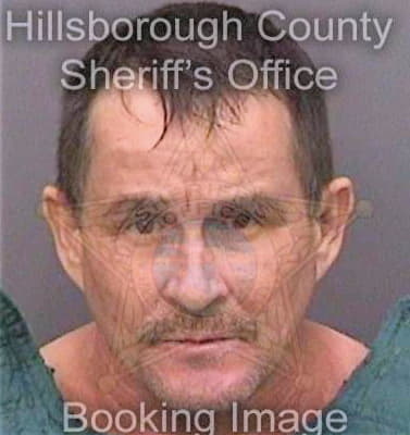 Garcia Iliomar - Hillsborough County, FL 