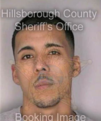 Melendez Hector - Hillsborough County, FL 