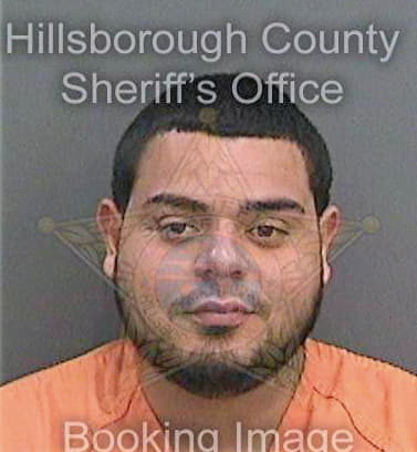 Ventura Hector - Hillsborough County, FL 