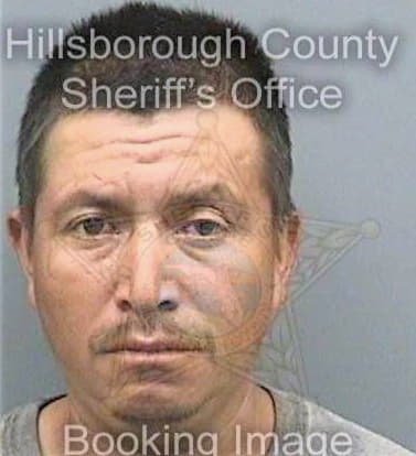 Gutierrez Esteban - Hillsborough County, FL 