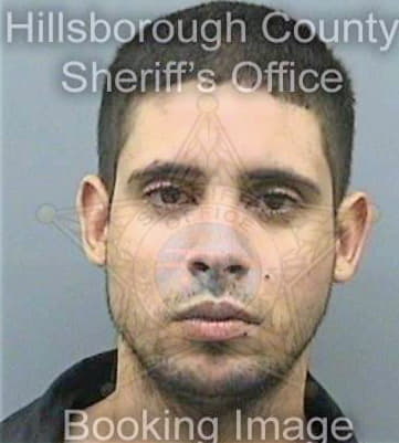 Deleon Carlos - Hillsborough County, FL 