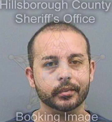 Bishay Andrew - Hillsborough County, FL 