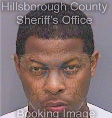 Johnson Demetrius - Hillsborough County, FL 