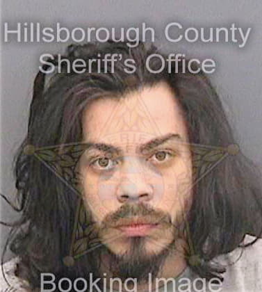 Bustos Joseph - Hillsborough County, FL 