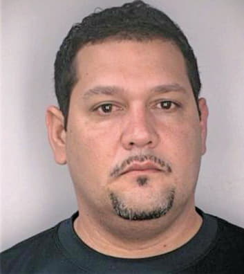 Fernandez Darvin - Hillsborough County, FL 