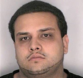 Martinez Leandro - Hillsborough County, FL 