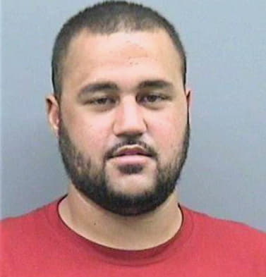 Menendez Stephen - Hillsborough County, FL 