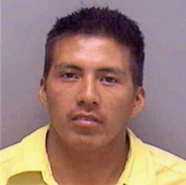 Santos Clemente - Lee County, FL 