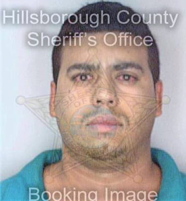 Collazo Abimael - Hillsborough County, FL 