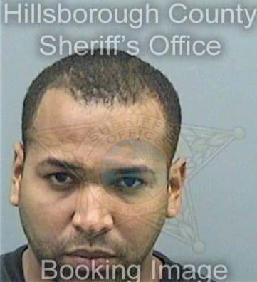 Guzmancarmona Luis - Hillsborough County, FL 