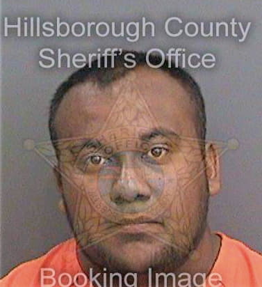 Guerrero Miguel - Hillsborough County, FL 