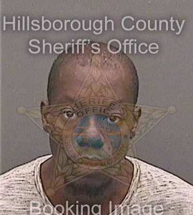 Hugeekelog Demetrius - Hillsborough County, FL 