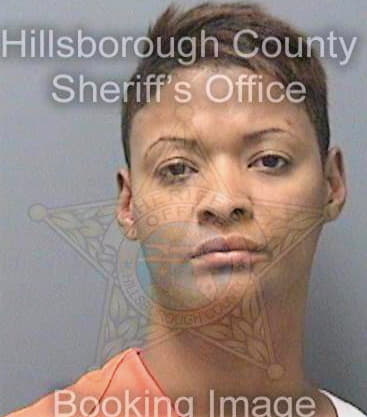 Howard Tiffany - Hillsborough County, FL 