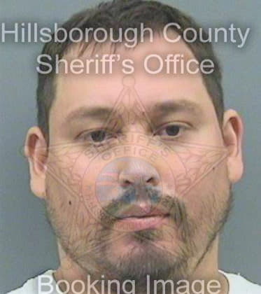 Sune Anthony - Hillsborough County, FL 