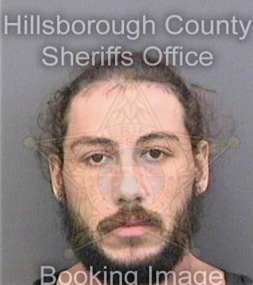 Spiegel Anthony - Hillsborough County, FL 