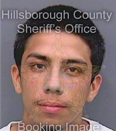 Cruz Daniel - Hillsborough County, FL 