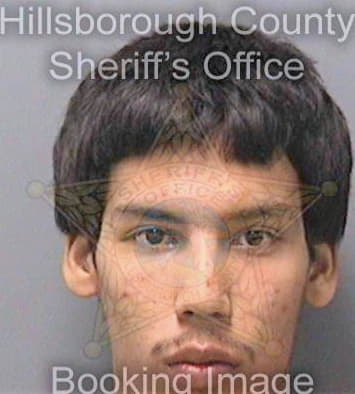 Meza Abraham - Hillsborough County, FL 